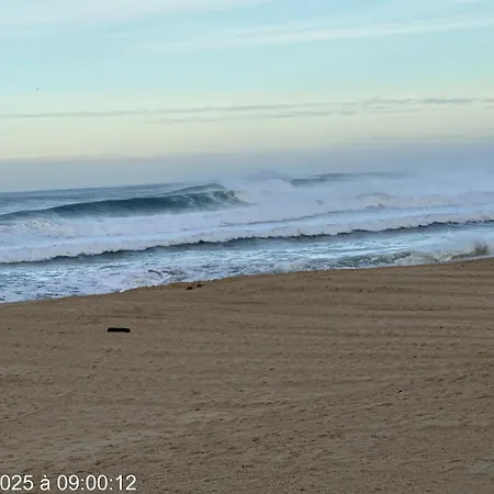 アパート Hossegor Sud Classe 3 Etoiles *