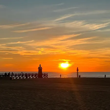 Hossegor Sud Classé 3 étoiles Appartamento