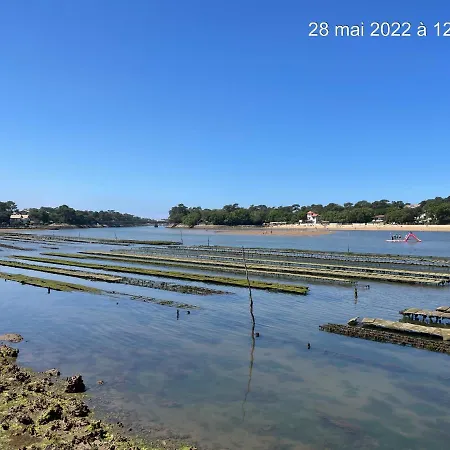Apartment Hossegor Sud Classe 3 Etoiles