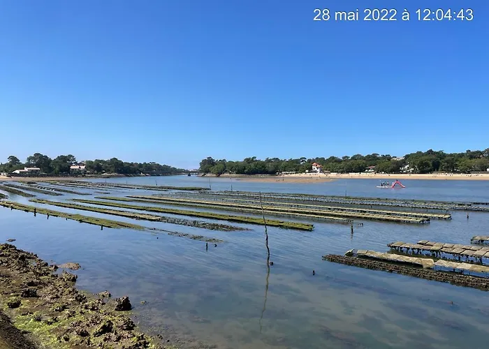 公寓 Hossegor Sud Classe 3 Etoiles