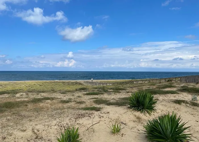 公寓 Hossegor Sud Classe 3 Etoiles *