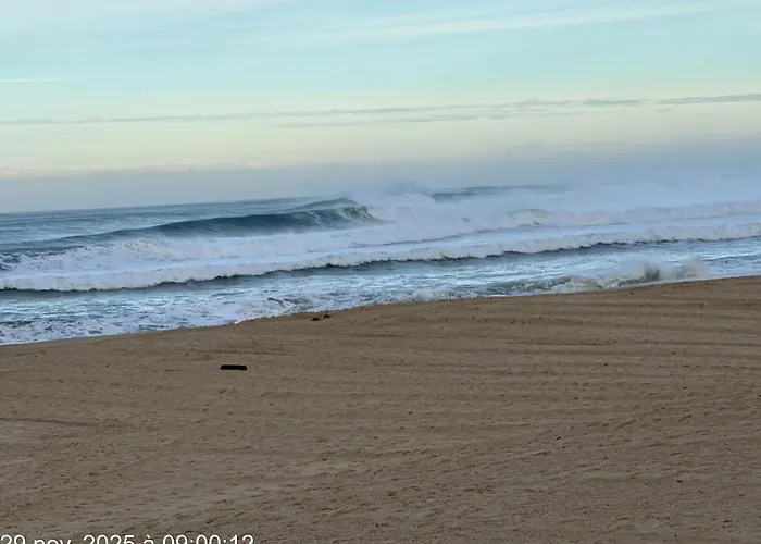 公寓 Hossegor Sud Classe 3 Etoiles *